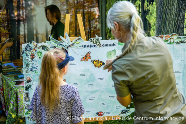 fot. Marta Jamińska-537