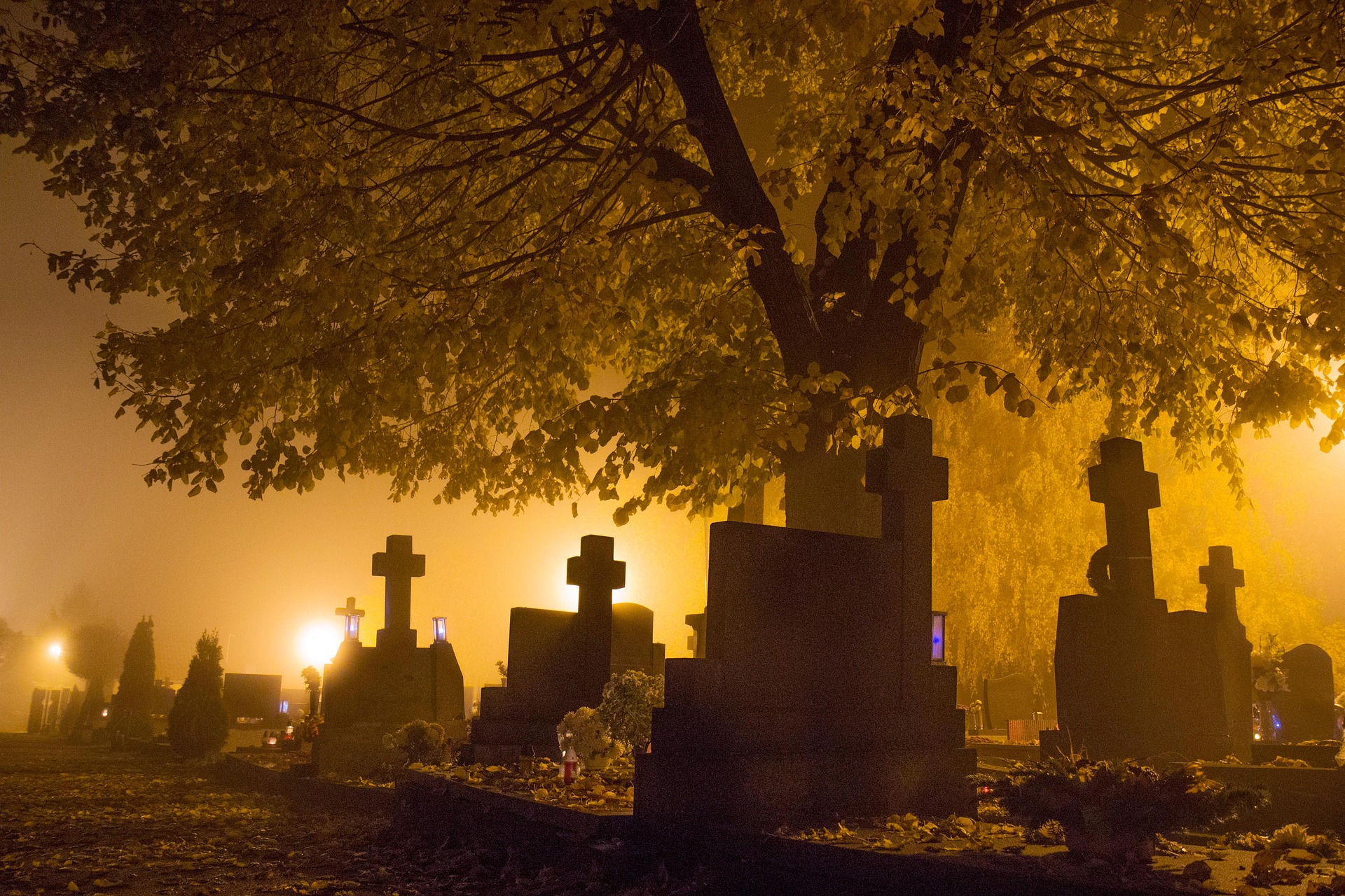   Pożegnaliśmy ich w 2025 Pozostaną w Waszej pamięci