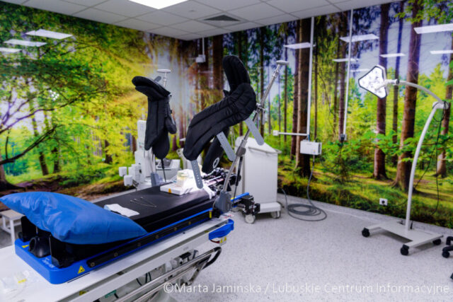 fot. Marta Jamińska-2231