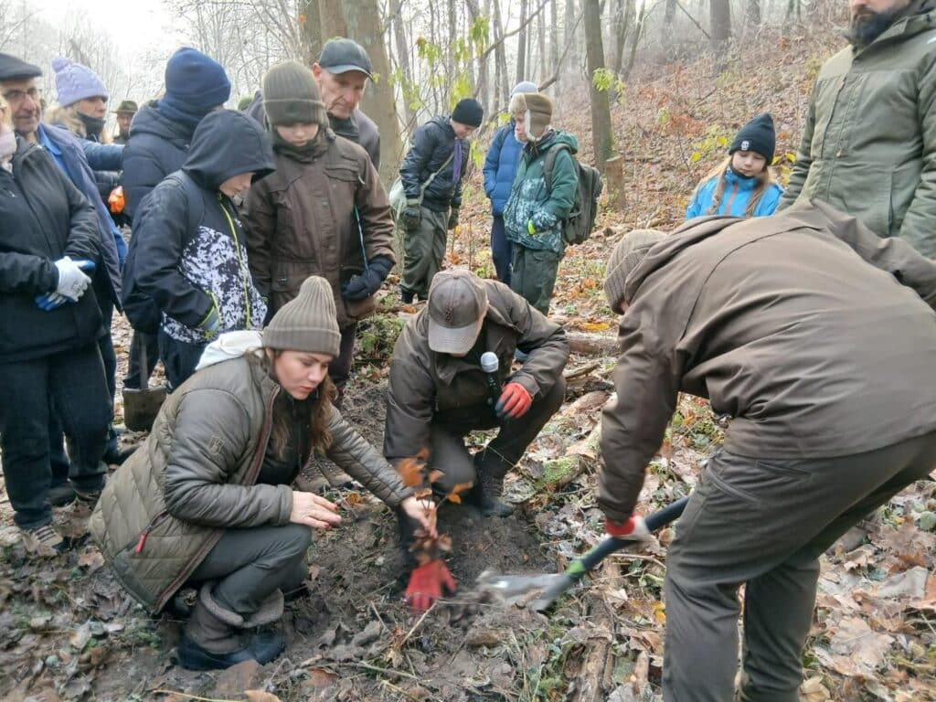Akcja sadzenia 700 buków na 700-lecie Wieprzyc. Fot. Stowarzyszenie Nasze Wieprzyce