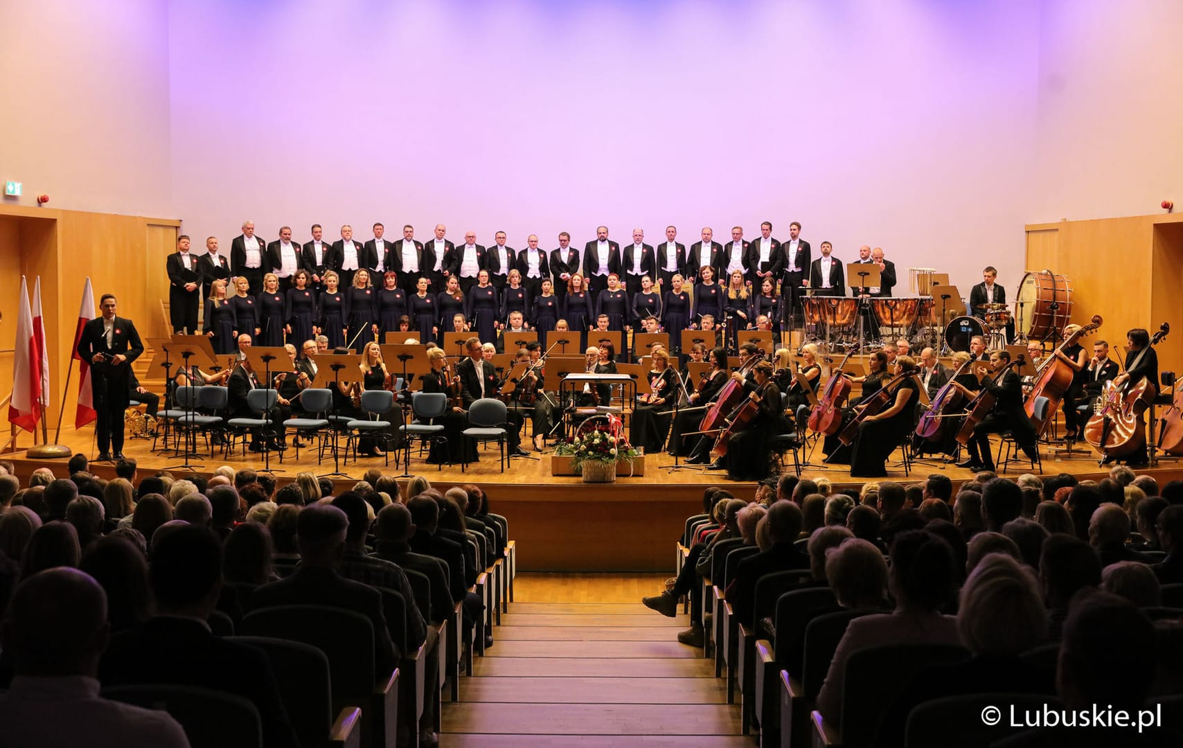   Jak kulturalnie spędzić Andrzejki w Zielonej Górze