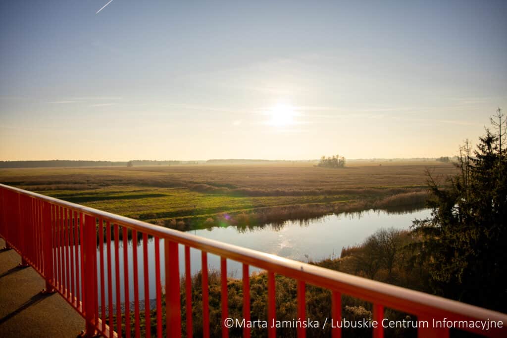IV etap obwodnicy Drezdenka