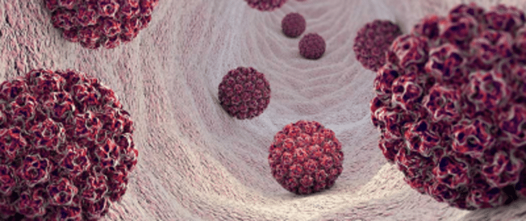 Badania można wykonać m.in. w Szpitalu Uniwersyteckim w Zielonej Górze i Wielospecjalistycznym Szpitalu Wojewódzkim w Gorzowie Wielkopolskim brodawczak Darmowe testy Wykrywają zagrożenie zanim pojawi się rak