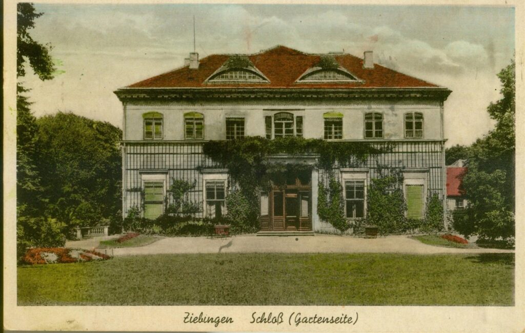 cybink3 Arystokratyczna strona regionu