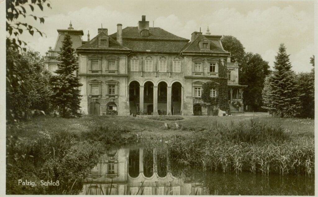 palck1 Arystokratyczna strona regionu