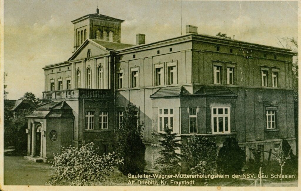 stare drzewce Arystokratyczna strona regionu