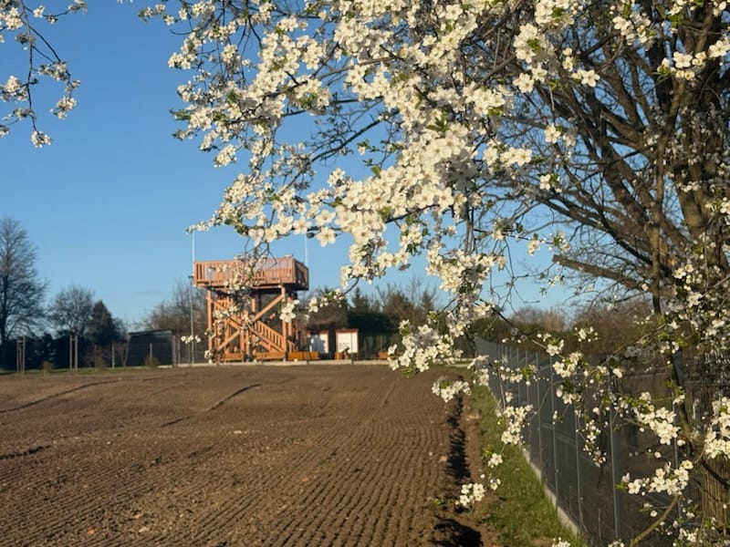 Nowa miejska winnica powstaje przy al. Słowackiego. Nowa miejska winnica powstaje przy al Słowackiego Takiej winnicy jeszcze nie było Ma być turystycznym hitem