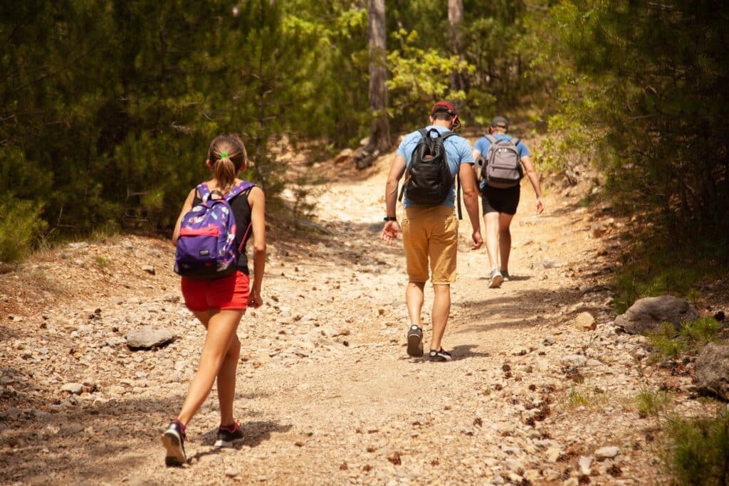 niko_shogol-summer-4501232_1920 Mamy dość muzeów i krzywych palm Chcemy mieć święty spokój